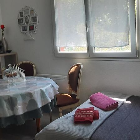 Apartament Ravissant Studio Dans Un Cadre Agreable Soultz-Haut-Rhin Zewnętrze zdjęcie