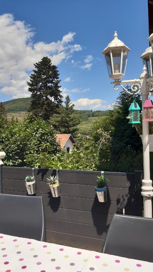 Ravissant Studio Dans Un Cadre Agreable Soultz-Haut-Rhin Zewnętrze zdjęcie