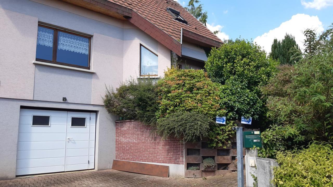 Ravissant Studio Dans Un Cadre Agreable Soultz-Haut-Rhin Zewnętrze zdjęcie