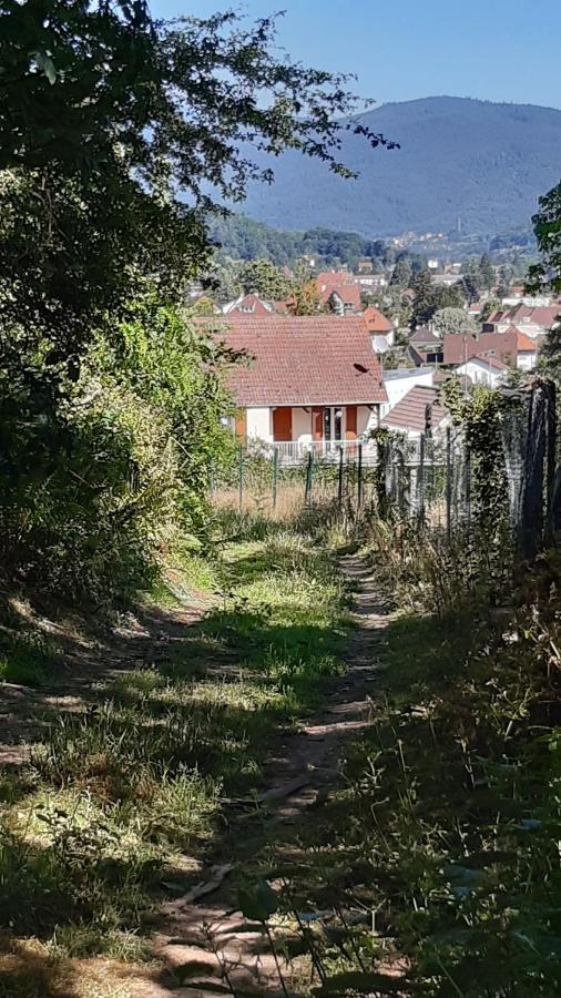 Ravissant Studio Dans Un Cadre Agreable Soultz-Haut-Rhin Zewnętrze zdjęcie